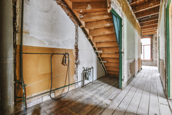 service single images